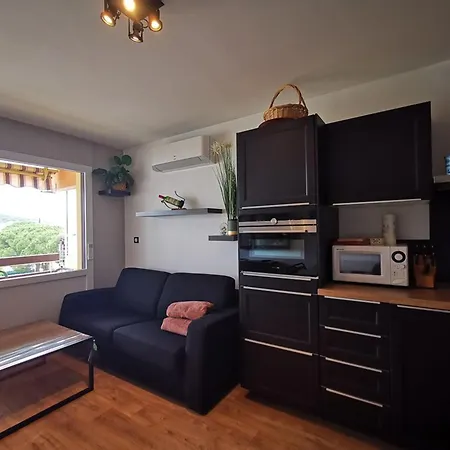 Joli Climatise Pour 4 Avec Terrasse, Parking Prive Et Proche A Les Mimosas - Fr-1-803-9 Apartament *